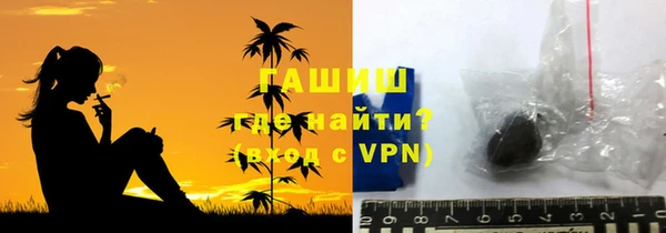 эйфоретик Няндома