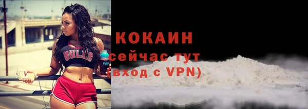 сатива Балабаново
