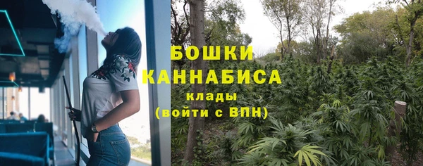 трава Аркадак