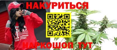 стафф Славгород