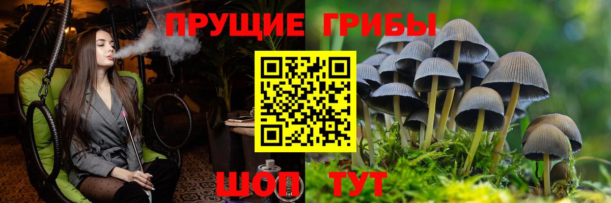 Соль-Илецк  Галлюциногенные грибы MAGIC MUSHROOMS  Вход с VPN  Псилоцибиновые грибы GOLDEN TEACHER 